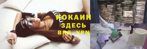 ПСИЛОЦИБИНОВЫЕ ГРИБЫ Богородицк