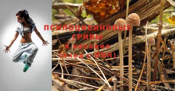 экстази Богородск